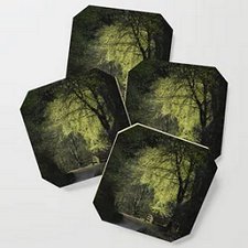 Through the Trees - Coasters